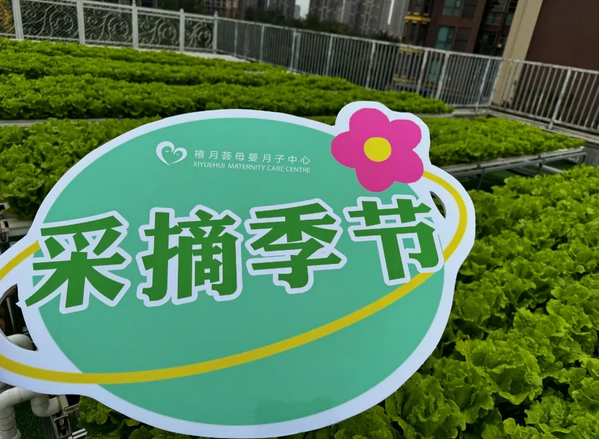 成都月子中心農(nóng)場(chǎng)主|共享菜地，開(kāi)啟有機(jī)坐月子生活